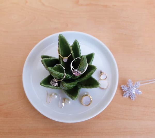 Aloe ringramme, kaktus ringplade, smykkeholder, ring, ørering