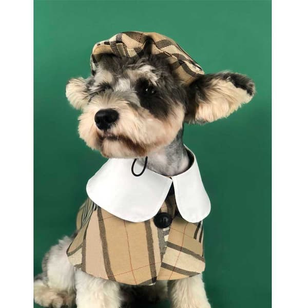 2 st hundkläder hattar brittisk stil söt teddy schnauzer bom