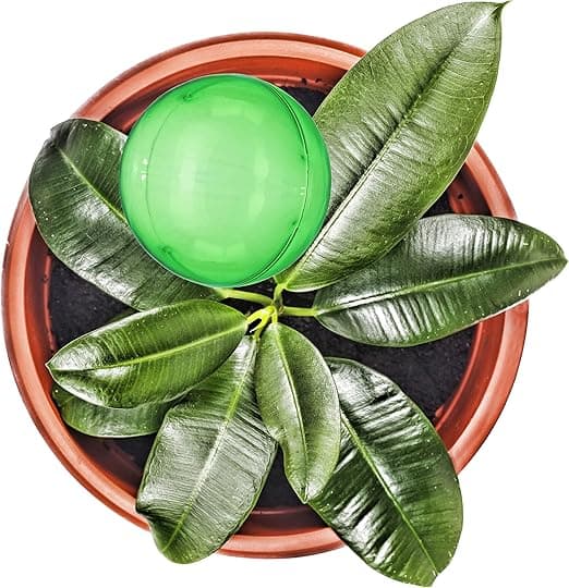 Set med 4 dubbla bevattningsbollar i plast, PVC, 8 cm