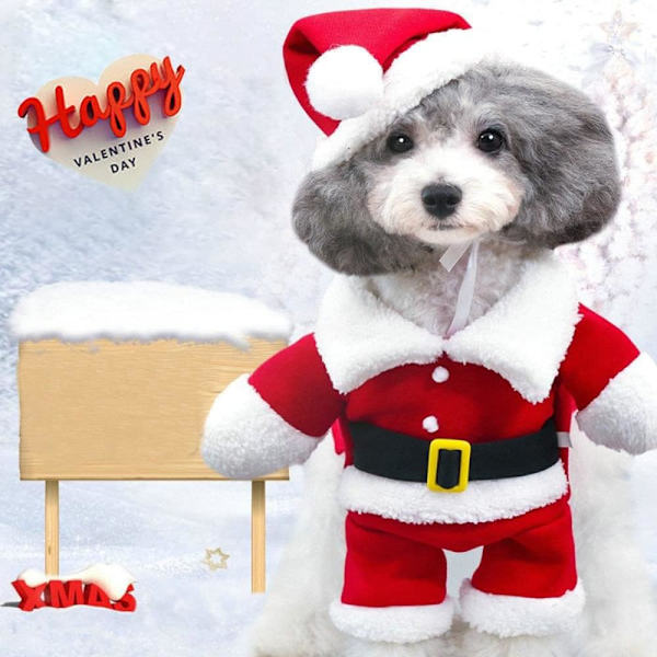 Jultomte hundkostym husdjurskläder vinterhuvad kappa hundkläder