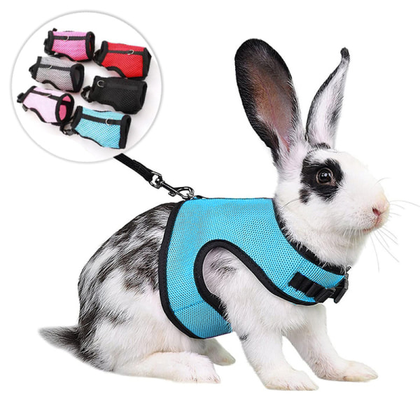 2 Harnesses for Rabbits Guinea Pigs Small Animals with Elastic L