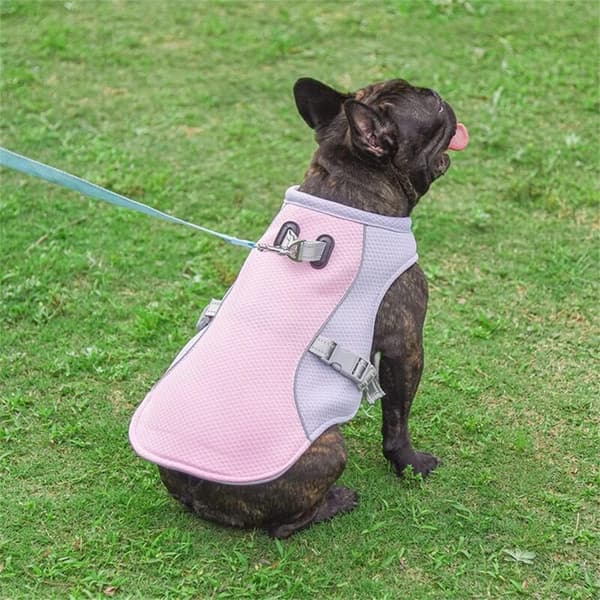 Kølevest til mellemstore og store hunde Mint green 3XL