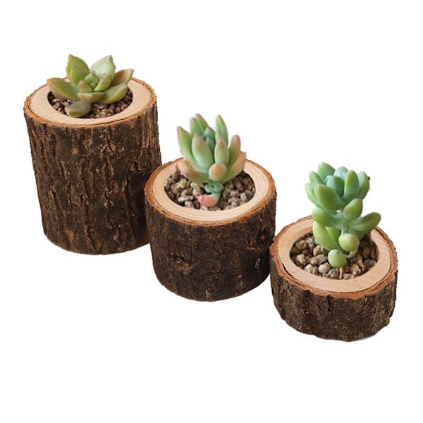 10 stk. personlige træ-tealight-holdere til bryllupscenterp