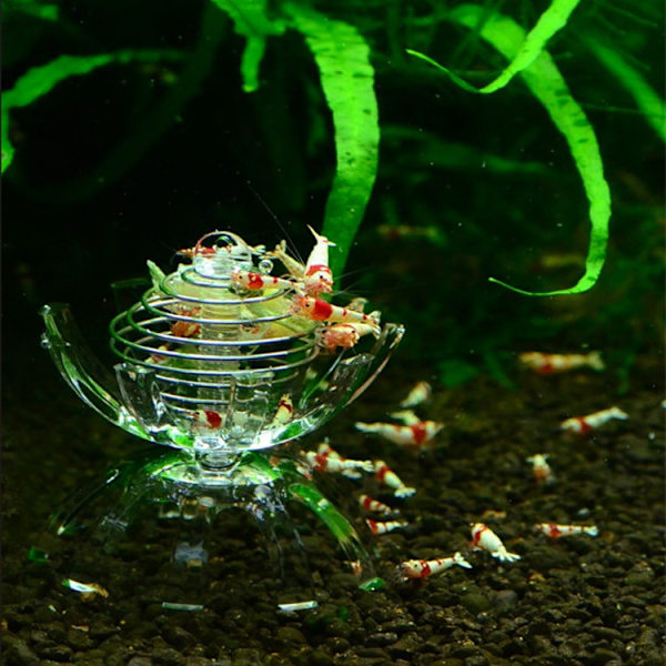 Akryl Akvarium Feeder, Dekorativt Skjul Bur