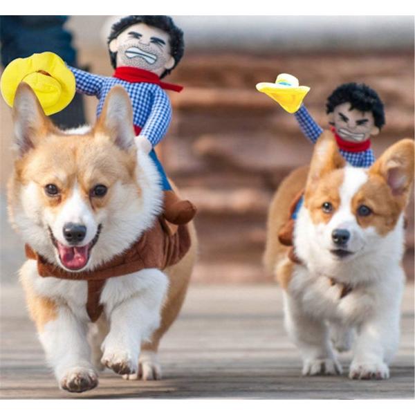 Cowboy Cavalier Hundkostym Cavalier Style Hundkläder med Docka