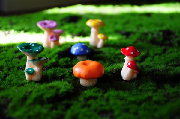 Sopp, 6 i ett sett, Gardon Decor, DIY fehage miniatyr