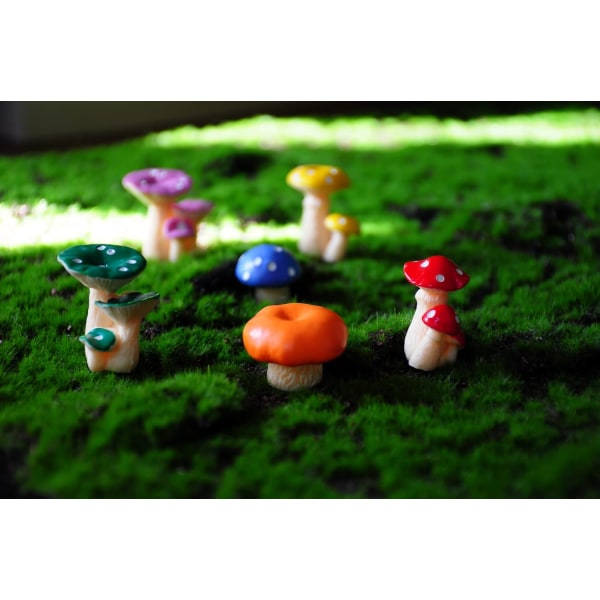 Svampe, 6 i et sæt, Gardon Decor, DIY fe have miniature