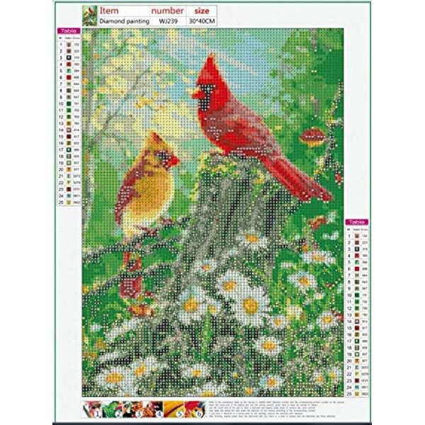 Diamantmålning konstkit Fåglar, 12X16in full cirkelborr broderi