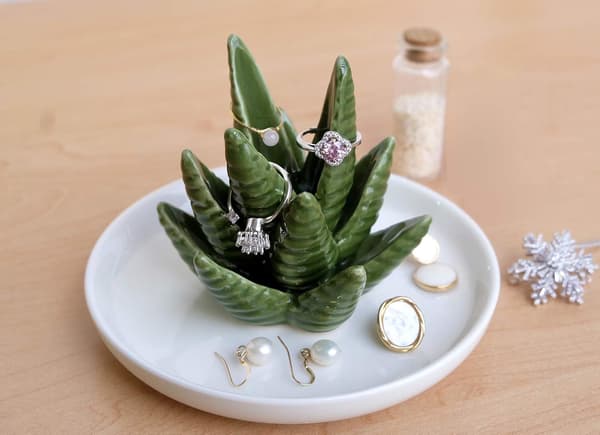 Aloe ringramme, kaktus ringplade, smykkeholder, ring, ørering