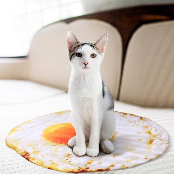 Kjæledyrteppe for hundekatt, stekt egg dyne for valp, katteseng,
