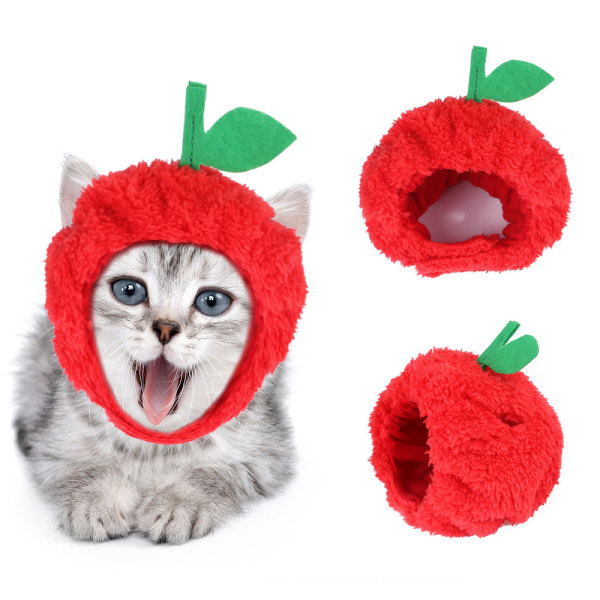 Teddy kjæledyr lue kjole som eple hodeplagg, katt kjole som lue, op
