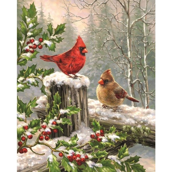 Merry Christmas Garden Flags 12x18 Double Sided, Cardinal Red Bi