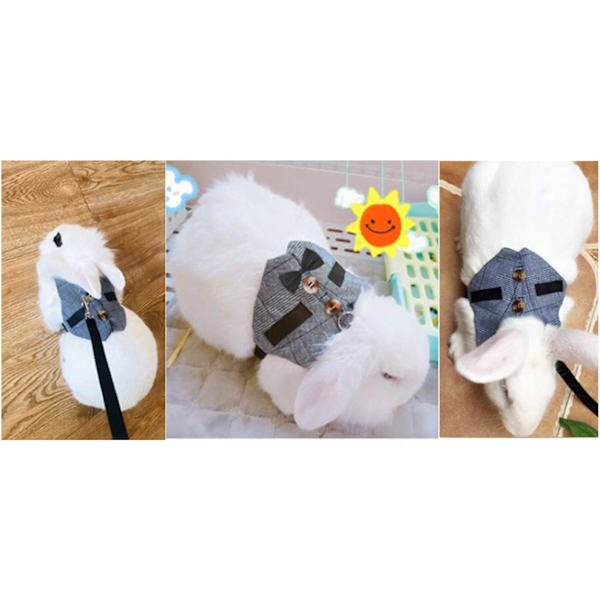 Kanin Vest Sele Hundesele Kanin Versatile Elastisk Snor Sæt 2 Stk Kæledyr