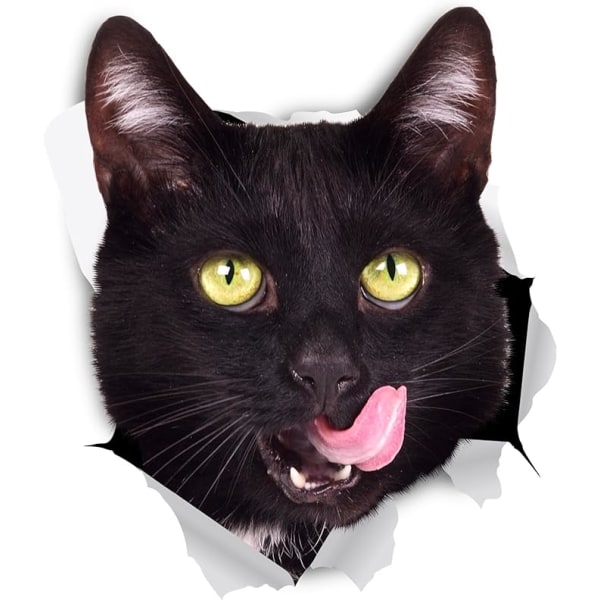 3D Cat Stickers - Set med 2 - Hungry Black Cat Stickers för vägg