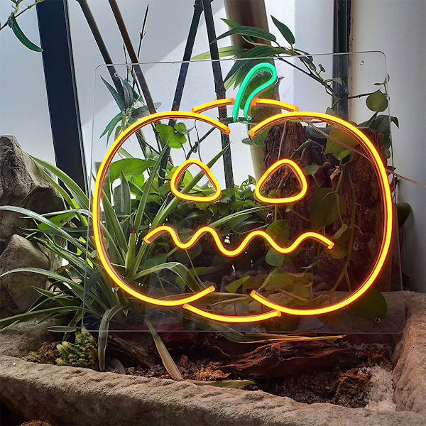 Kurpitsa Neon-kyltti Halloween LED-kyltti Web Neon-kyltti Yritys