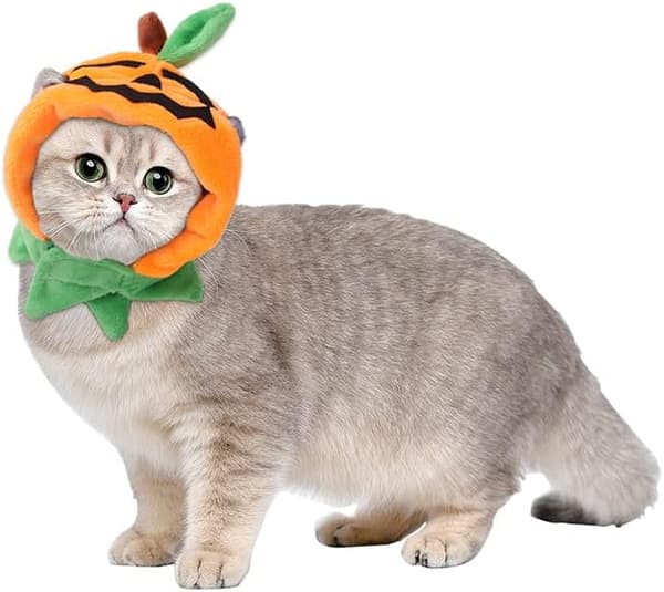 Halloween kattekostume, kattegræskarhat Cosplay kostumehat til p