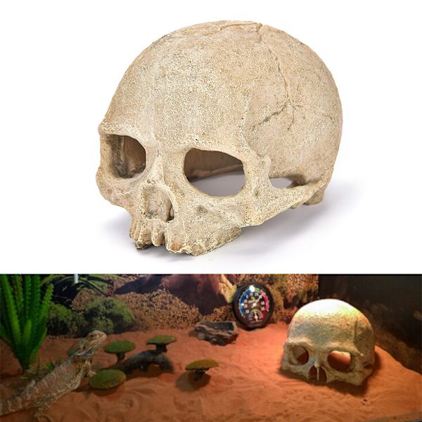 Halloween simulation menneske kranium skelet statue gotisk bil hjem