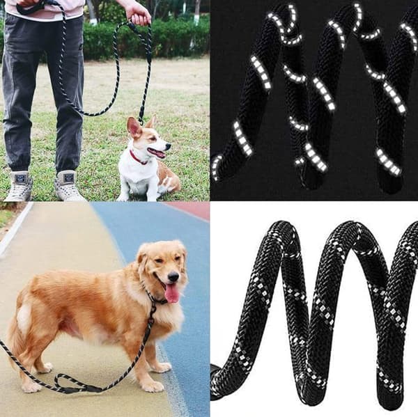 Hundkoppel - 5m - Vadderat handtag - Nylon - Reflex