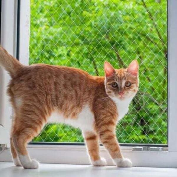 Kattnät - Nylon 3 x 4 m - Transparent - Ingen borrning krävs - Skär- och bitsäkert