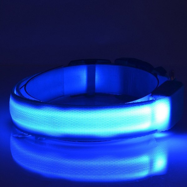 LED Pet Band - Large Blå