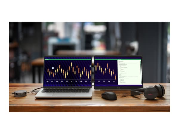 Dell Pro Plus P1425 14 IPS 1920 x 1200 (WUXGA) USB-C 60Hz