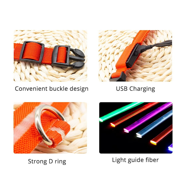 Hund led-säkerhetshalskrag orange orange