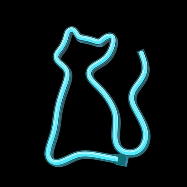 Neon LED Lamp CAT turquoise NNE24 Neolia