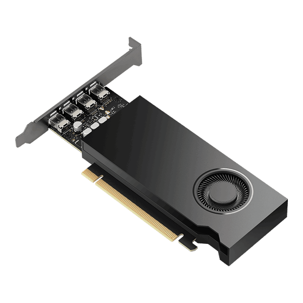 NVIDIA NVIDIA RTX 2000 Ada 16GB GDDR6 SDRAM