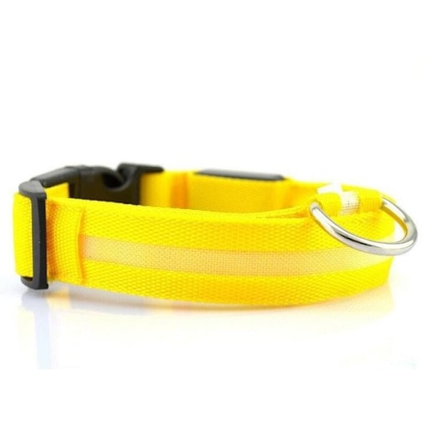 LED-halsband, reflekterande i nylon|blå blå