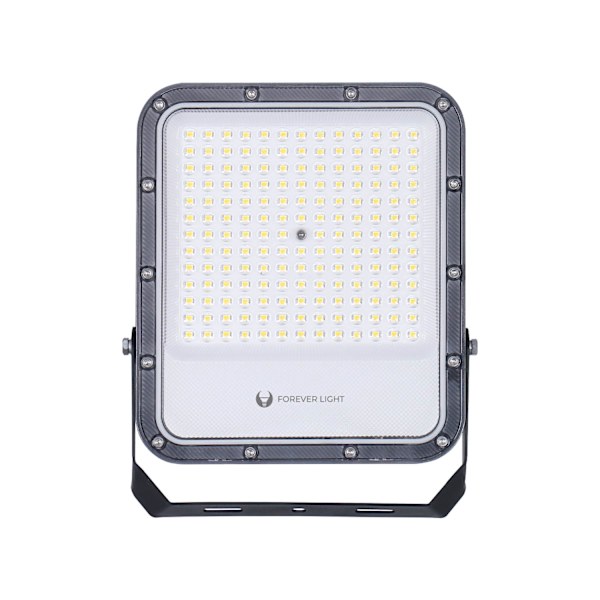LED Floodlight PROXIM+ 100W - Forever Light, 6500K, IP65, High-Efficiency