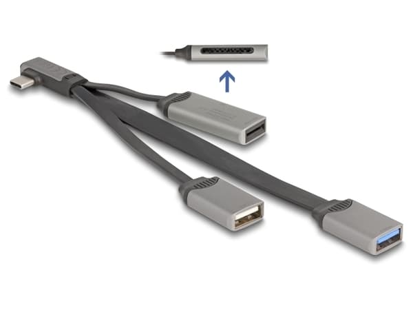 DeLock 4-porte USB Hub