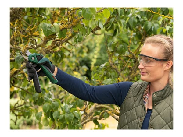 Bosch EasyPrune Secateur Elektrisk
