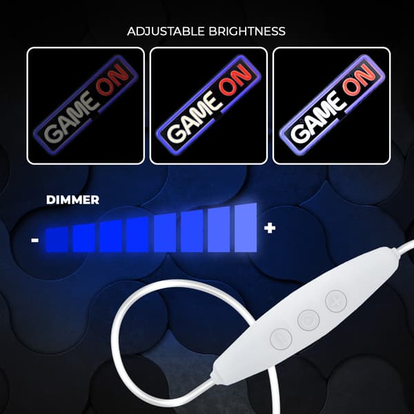 Neon PLEXI LED GAME ON flerfärgad FPNE23 Forever Light