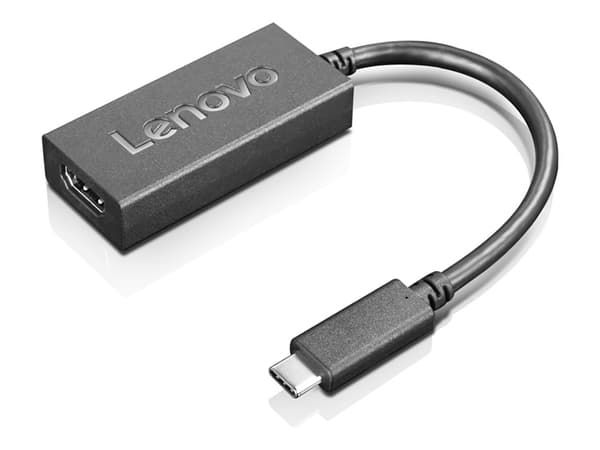 Lenovo Videoadapter 24cm svart