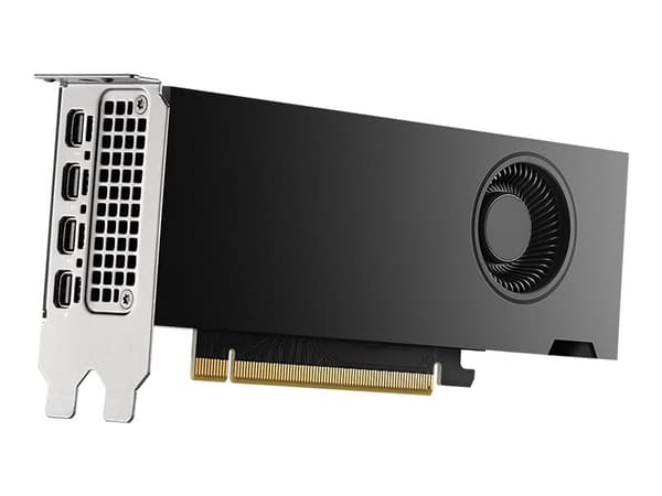 NVIDIA NVIDIA RTX 2000 Ada 16GB GDDR6 SDRAM