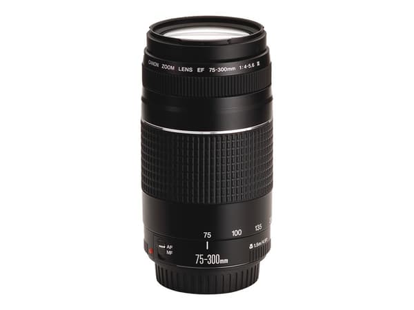Canon EF Telefoto zoom objektiv
