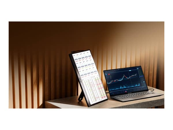 ASUS ZenScreen MB169CK 16 IPS 1920 x 1080 (Full HD) Mini HDMI USB-C 60Hz