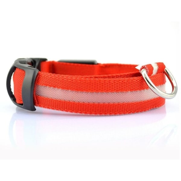 LED-halsband, reflekterande i nylon|orange orange