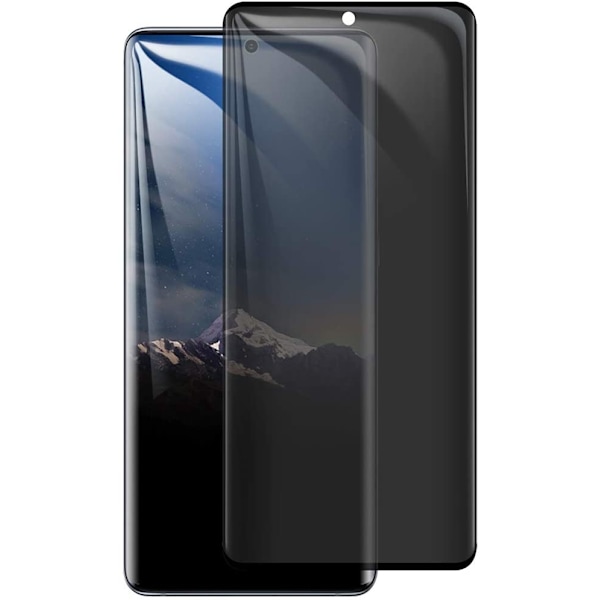 Sekretessskydd i härdat glas, för Samsung Galaxy S10