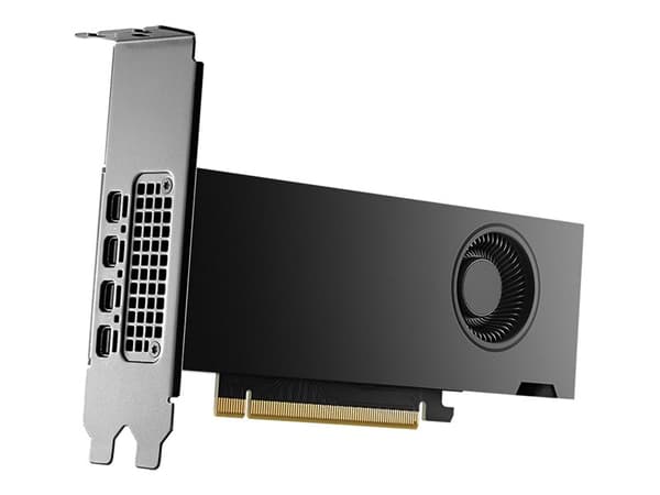 NVIDIA NVIDIA RTX 2000 Ada 16GB GDDR6 SDRAM