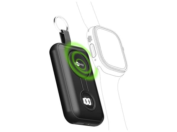 goobay trådlös Powerbank 2500mAh 5W 1xUSB-C svart