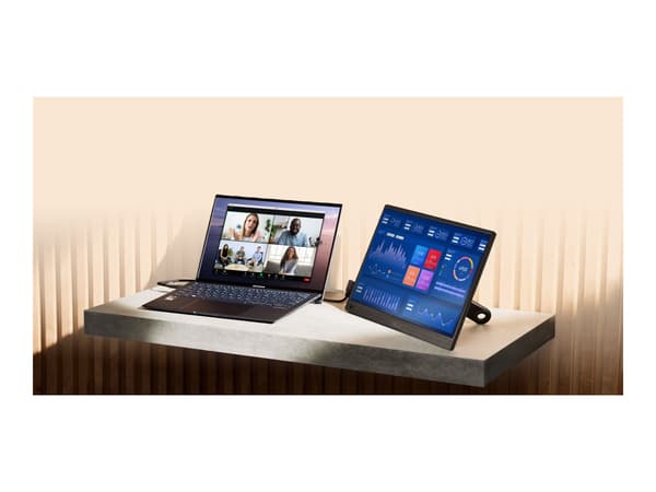 ASUS ZenScreen MB169CK 16 IPS 1920 x 1080 (Full HD) Mini HDMI USB-C 60Hz