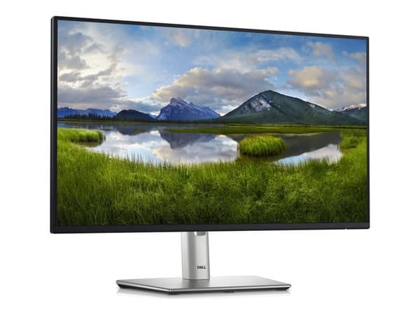 DELL P Series P2425H 24 IPS 1920 x 1080 (Full HD) DisplayPort HDMI USB-C 100 Hz