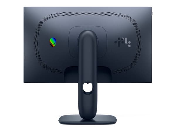 Alienware AW2525HM 25 IPS 1920 x 1080 (Full HD) HDMI DisplayPort 320Hz