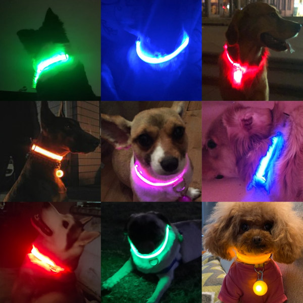 Hund led-säkerhetshalskrag gul gul