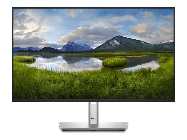 DELL P Series P2425H 24 IPS 1920 x 1080 (Full HD) DisplayPort HDMI USB-C 100 Hz