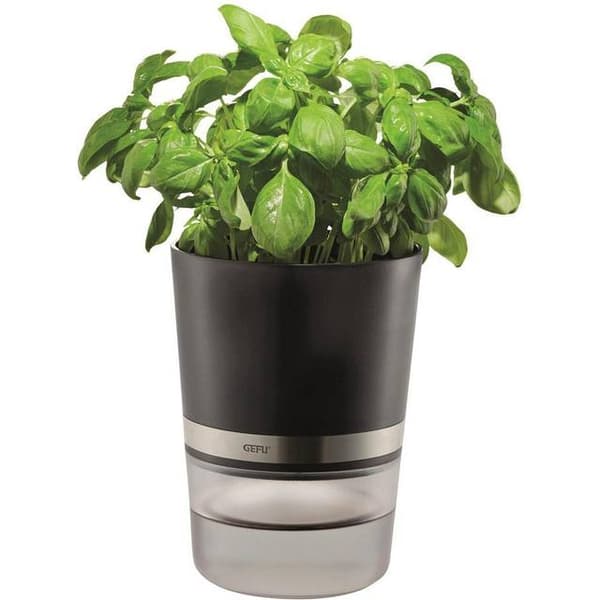 GEFU BOTANICO Smart plantepotte svart Transparent