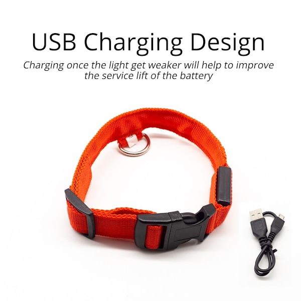 Hund led-säkerhetshalskrag orange orange