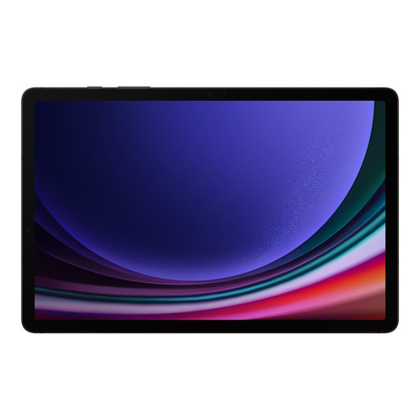 Samsung Galaxy Tab S9 Tablet gray