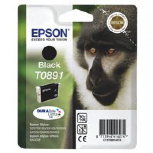 Epson T0891 svart bläck C13T08914011